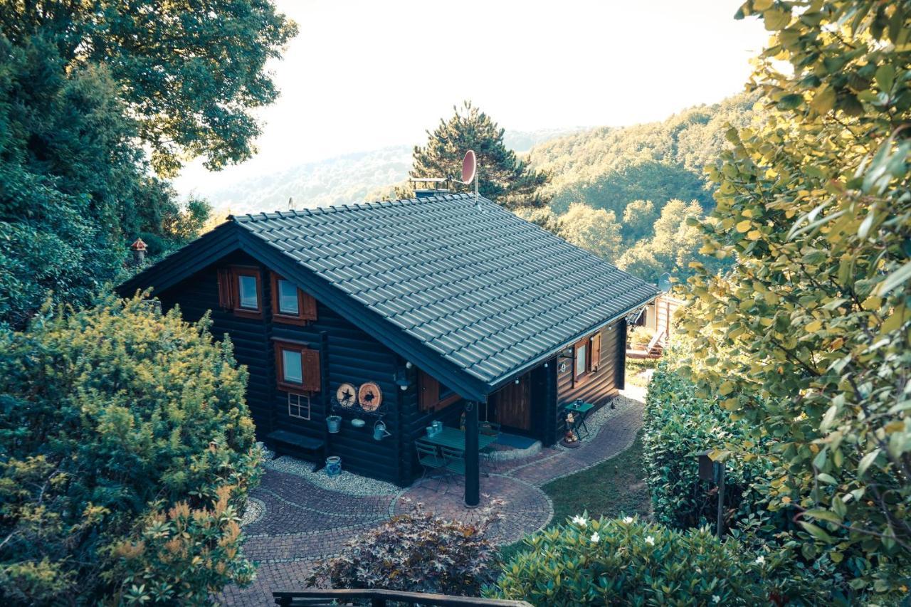 Chalet Spessart Dammbach Exterior photo